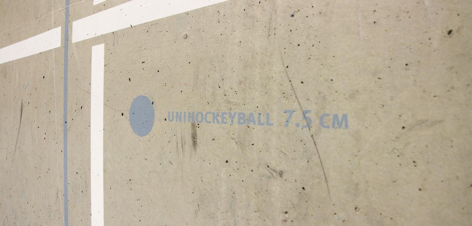 Unihockeyball: 7,5 cm / Motiv an der Wand einer Sporthalle